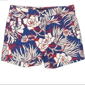 Navy and Red J. Crew Shorts